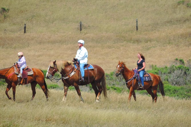 Private Horseback Riding and Muir Woods Adventure From San Francisco - Pricing and Policies