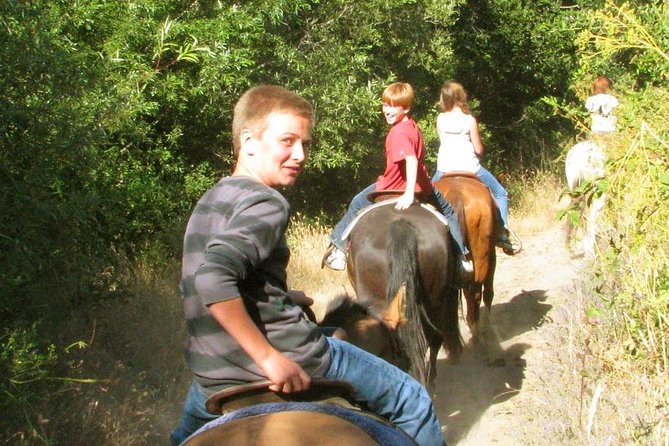 Private Horseback Riding and Muir Woods Adventure From San Francisco - About Muir Woods