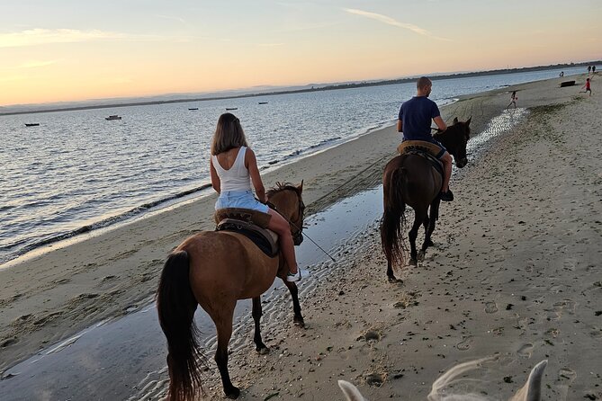 Private Horseback Riding - What to Expect