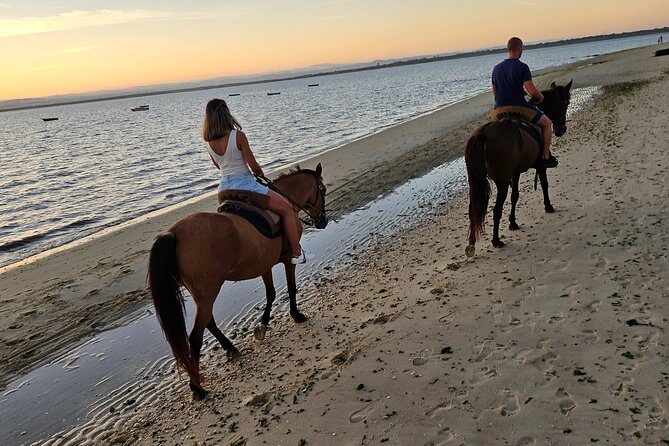 Private Horseback Riding - Preparation Tips