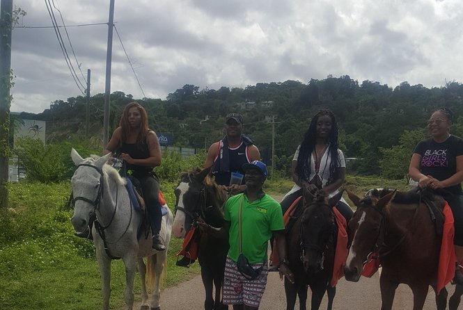 Private Horseback Riding From Ocho Rios With Guide - Swimming With Horses at Beach