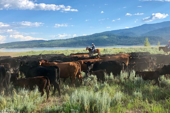 Private Horseback Riding in Wyoming - Cowboy Lunch and Hospitality