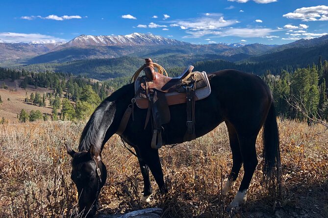 Private Horseback Riding in Wyoming - Health and Fitness Requirements