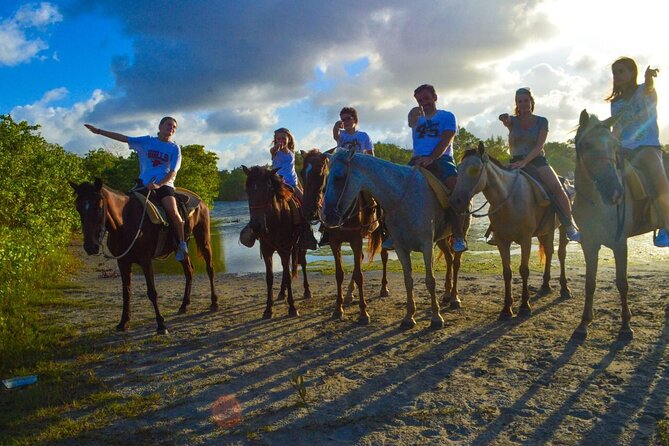 Private Horseback Riding on Beautiful Punta Cana Beach (Jump in the Water) - Discover the Dominican Republics Rich Culture