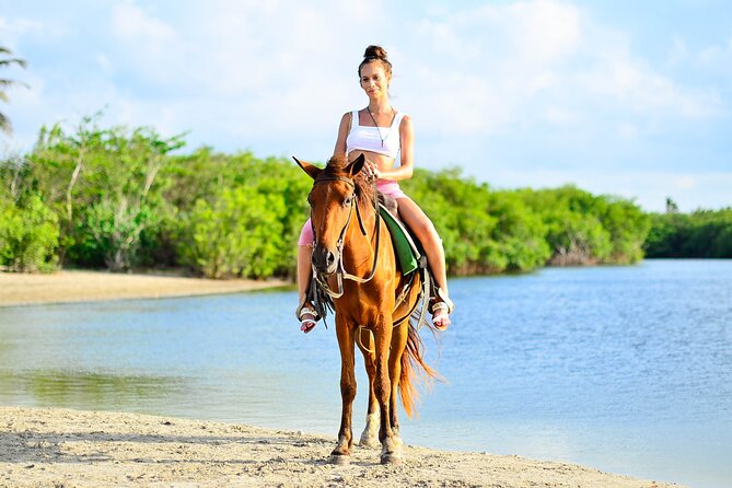 Private Horseback Riding on Beautiful Punta Cana Beach (Jump in the Water) - Pricing and Traveler Reviews