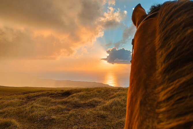 Private Horseback Riding on Easter Island - Key Points