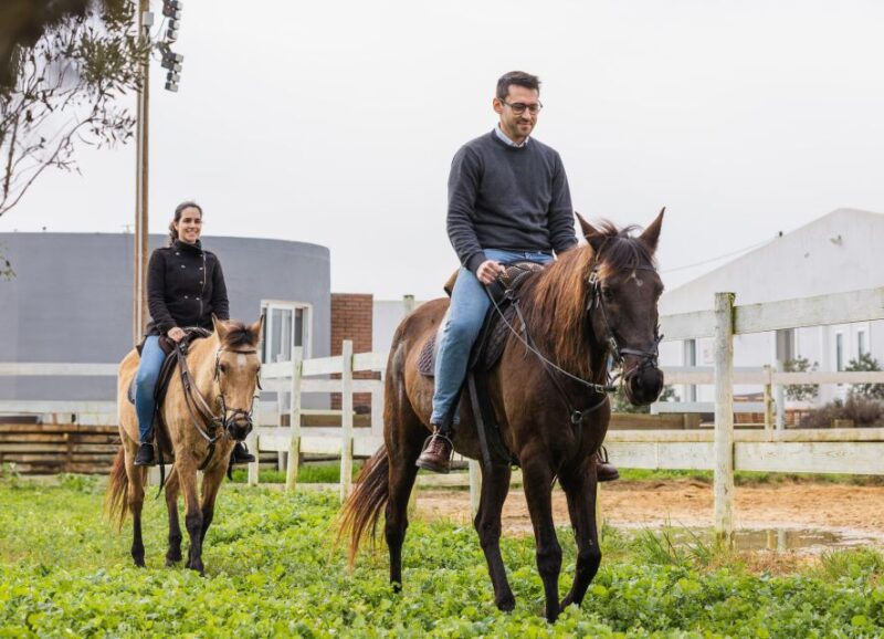 Private Horseback Riding on the Beach - Experience Details