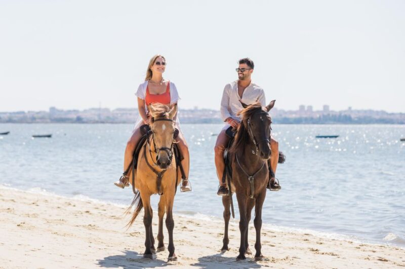 Private Horseback Riding on the Beach - Itinerary and Route