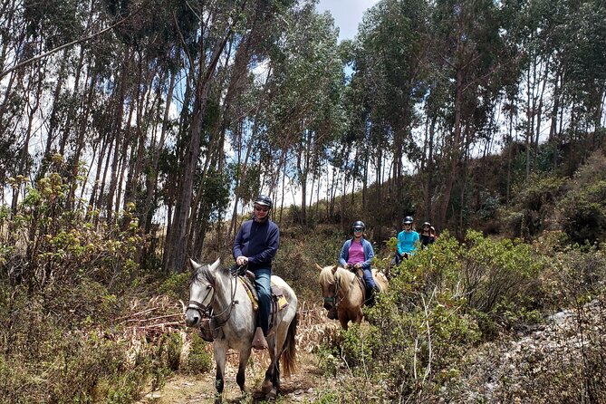 Private Horseback Riding Tour Around Sacsayhuaman - Learning About the Sites History and Culture