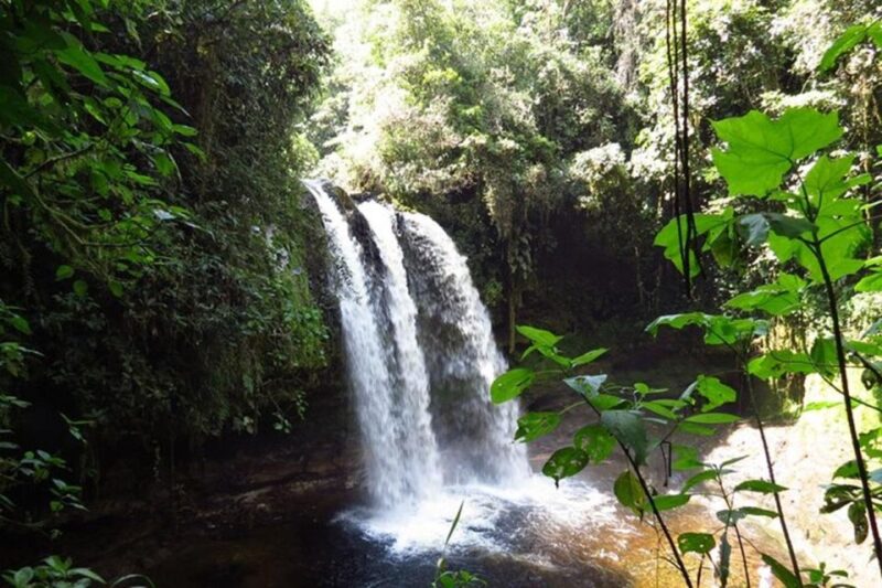 Private Horseback Riding Tour to Tres Chorros Waterfall - Key Points