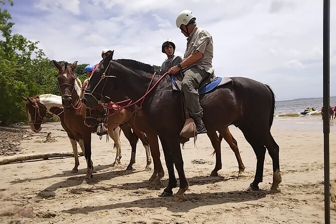 Private Horseback Tour in Playa Conchal - Schedule and Availability