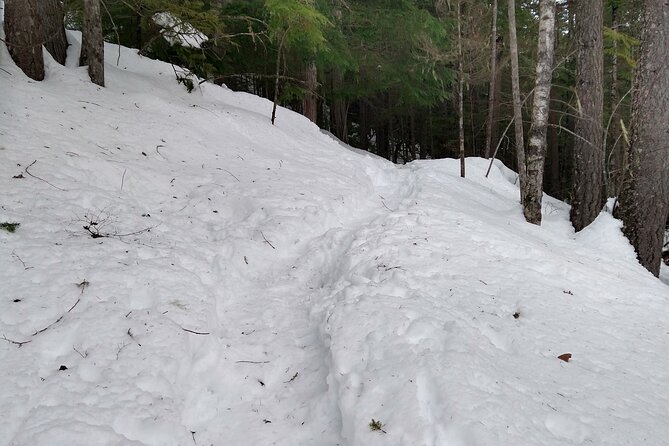 Private Horseshoe Valley Snowshoe/Crampons (Barrie/Moonstone) - Time