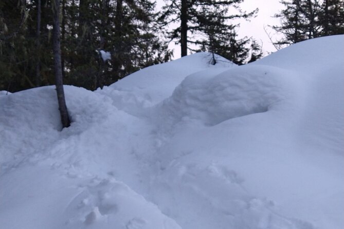 Private Horseshoe Valley Snowshoe/Crampons (Barrie/Moonstone) - Physical Fitness