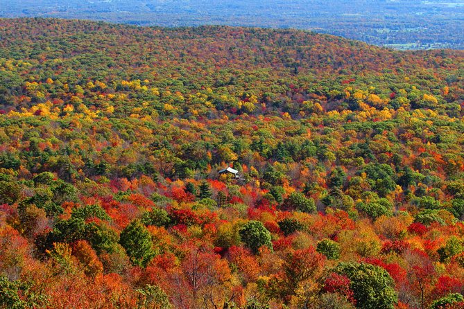 Private Hudson Valley Fall Foliage Helicopter Charter From Manhattan - Cancellation and Safety