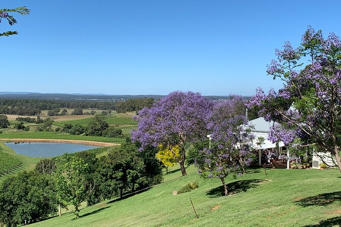 Private Hunter Valley Lunch Tour by Helicopter - Dietary Requirements