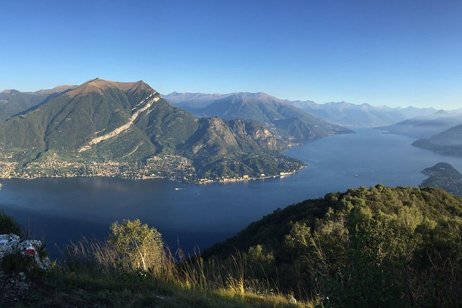 Private Hunting Of Truffle And Mushrooms With Chef Luigi Gandola In Bellagio - Truffle and Mushroom Hunting