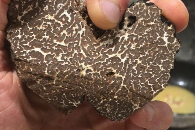 Private Hunting Of Truffle And Mushrooms With Chef Luigi Gandola In Bellagio - Gourmet Meal Preparation