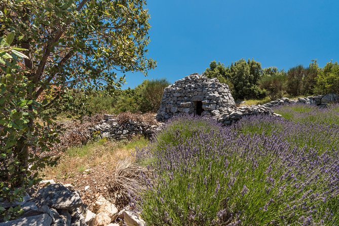 Private Hvar Island Tour and Olive Oil Tasting - Experience Scents and Tastes