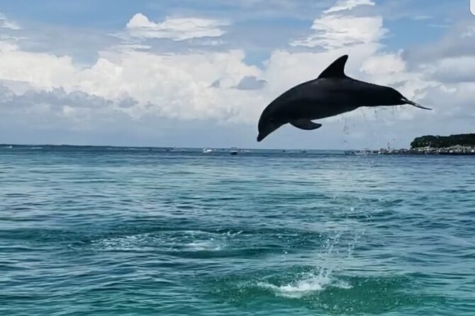 Private Hydrojet Tour in Destin - Inclusions and Exclusions