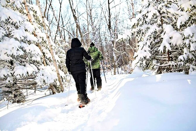Private Ice Skating and Snowshoeing Adventure in Ontario - Timing and Availability