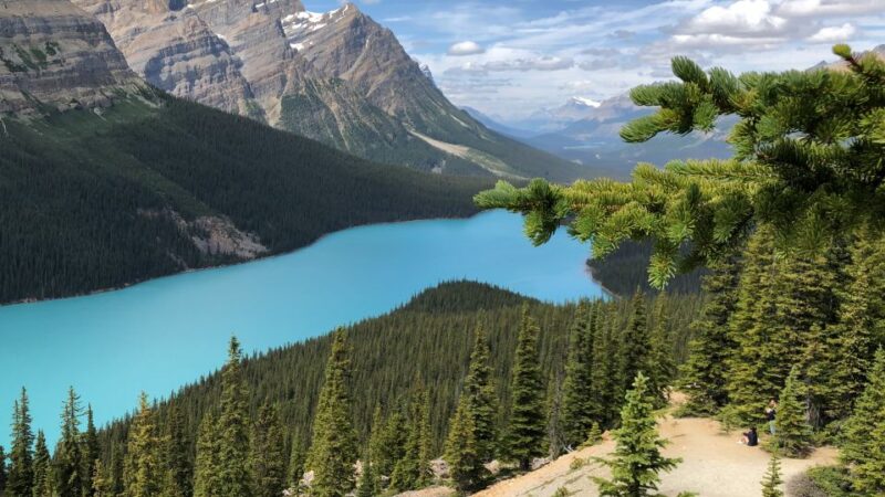 Private Icefields Parkway Tour W/ Lake Louise & Moraine Lake - Optional Stops