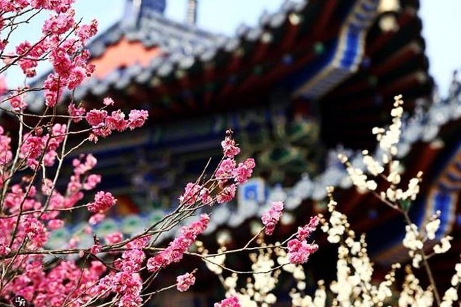 Private In-Depth Day Tour of Nanjing Purple Mountain With Lunch - Destination Highlights