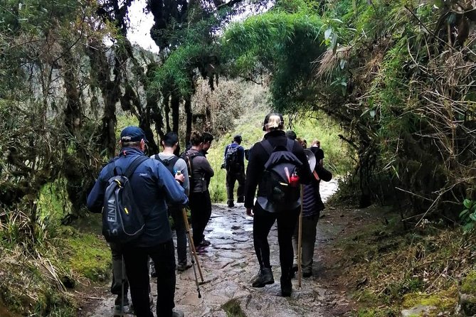 Private Inca Trail to Machu Picchu 4-days - Machu Picchu Arrival and Experience
