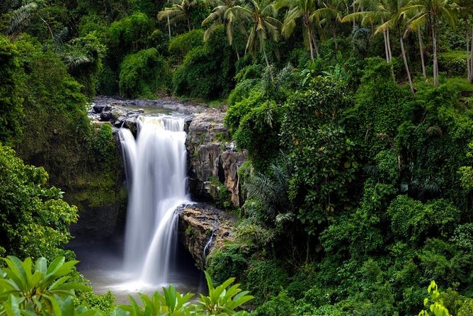 Private Inclusive Tours: 2 Days Highlight of Bali - Customer Reviews