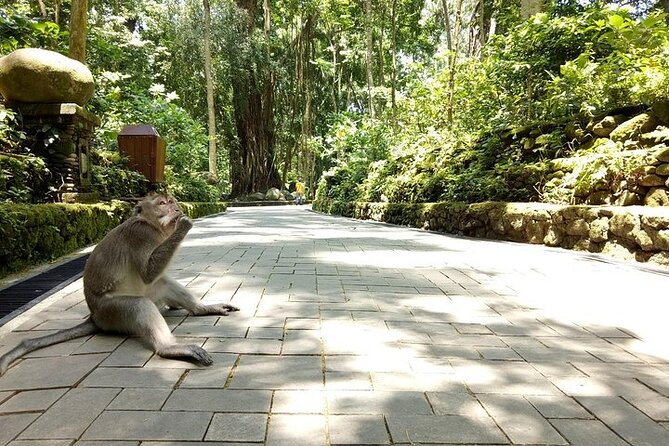 Private Inclusive Tours: 2 Days Highlight of Bali - Explore Ubud and Uluwatu