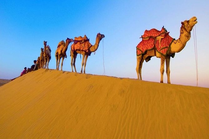 Private Indian Cultural & Heritage Tour - Key Points