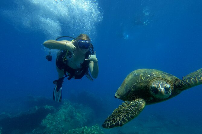Private Intro SCUBA Adventure - Requirements for Participants