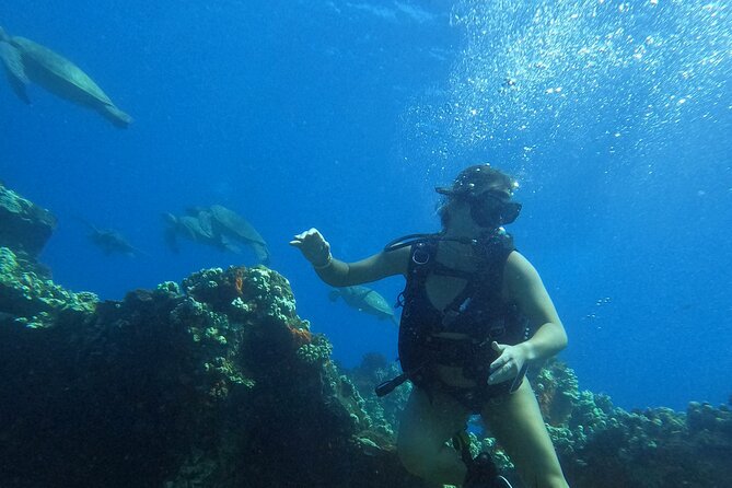 Private Intro SCUBA Adventure - Booking and Confirmation