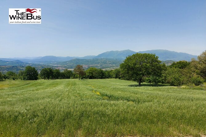 Private Irpinia Gourmet Tour From POSITANO, PRAIANO or AMALFI - Inclusions and Exclusions