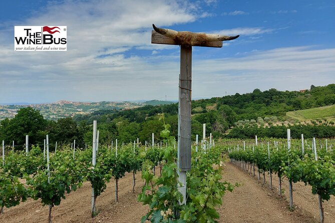 Private Irpinia Wine Tour From NAPLES With Sommelier - Reviews and Feedback
