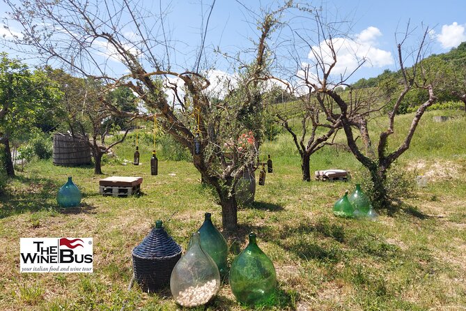 Private Irpinia Wine Tour From SORRENTO With Sommelier - Pickup and Scheduling