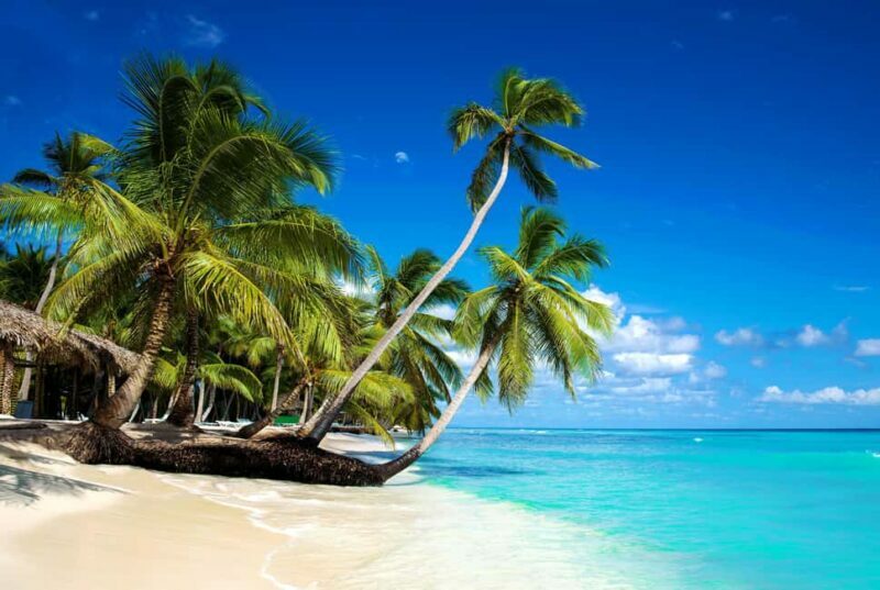 Private: Isla Saona VIP Escape Luxury Beach & Speedboat Tour - The Itinerary: What You Can Expect