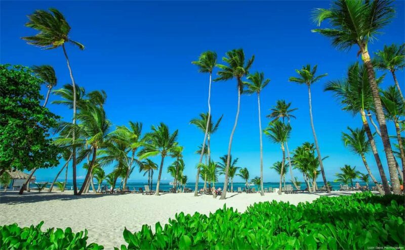Private: Isla Saona VIP Escape Luxury Beach & Speedboat Tour - Transport and Timing: Why They Matter