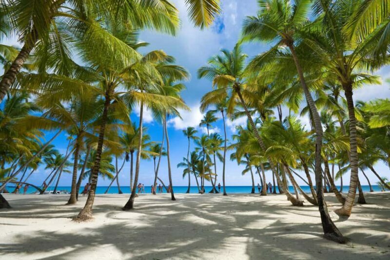 Private: Isla Saona VIP Escape Luxury Beach & Speedboat Tour - Who Should Consider This Tour?