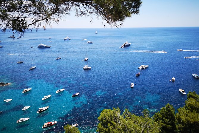 Private Island of Capri Boat Tour for Couples - Swimming and Snorkeling Opportunities
