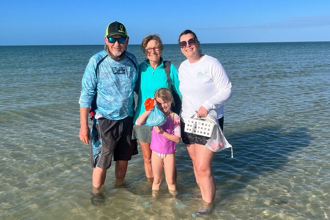 Private Island Paradise: Dolphin, Shelling, Birding Eco Boat Tour - Dolphin Sightings and Encounters