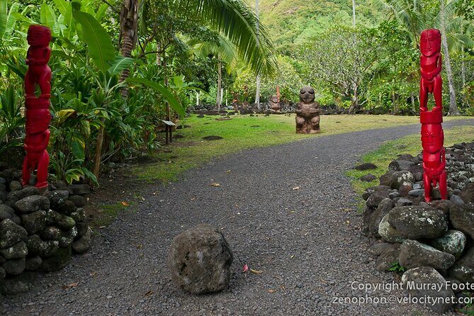 Private Island Tour ( 5 HOURS) - What to Expect and How to Prepare