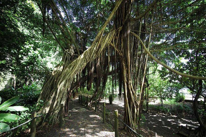 Private Island Tour ( 5 HOURS) - Final Thoughts: Who Should Consider This Tour?