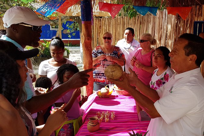 Private Island Tour in Cozumel at Your Leisure - Traveler Reviews and Experiences