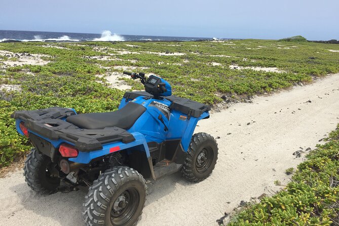 Private Island Tour in Hawaii With Pickup Included - Customizable Itinerary