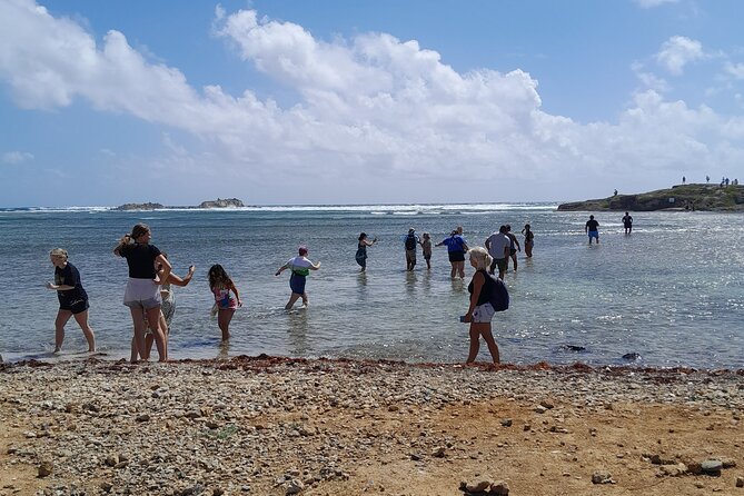 Private Island Tour in St. Maarten - Traveler Reviews