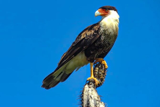 Private Island Tour North and South - Knowledgeable and Friendly Guide