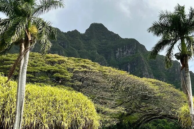 Private Island Tours and Charters Through the Island of Oahu - Booking Information