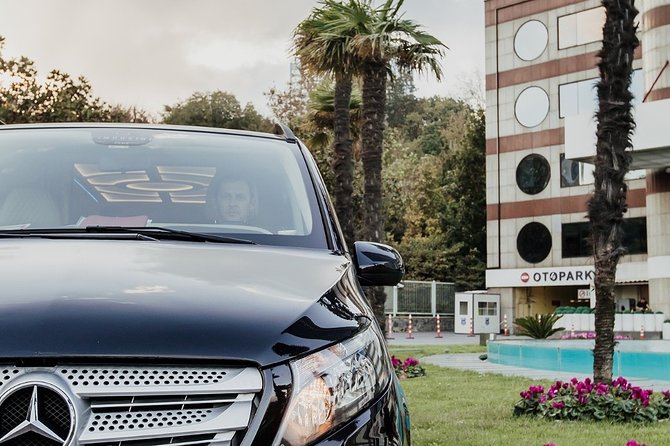 Private Istanbul Airport Transfer to Blue Mosque Sultan Ahmet - Accessibility and Additional Notes