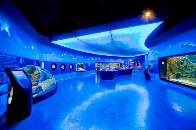 Private Istanbul Full Day Daily or Shopping Tour - Customizing Your Shopping Experience