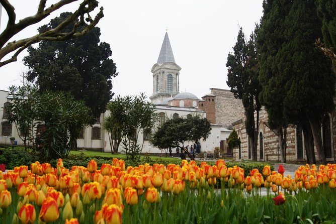 Private Istanbul Guided Tour With Dlx Van Fullday - Accessibility and Participation
